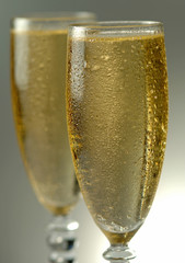 Happy New Year © Marzia Giacobbe