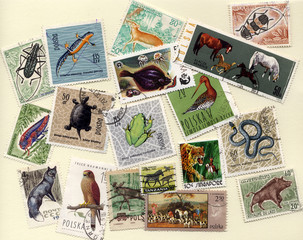 stamps with different animals