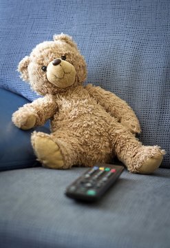 taddy toy