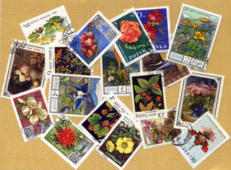 Fototapeta na wymiar stamps with plants