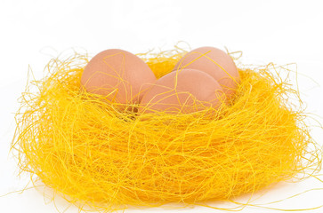 Fresh eggs in the nest