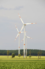 Windräder in Brandenburg