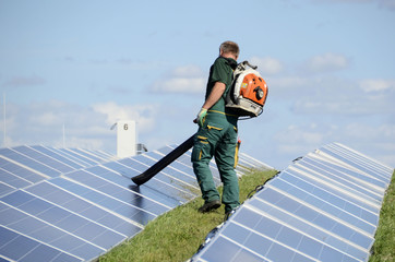 Reinigung von Modulen in einem Solarpark