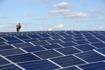 Reinigung von Modulen in einem Solarpark