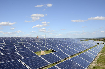 Reinigung von Modulen in einem Solarpark