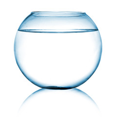 close up view of  a fish bowl on white background