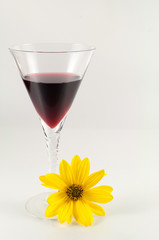 Vino rosso a primavera