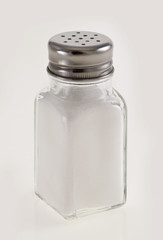 Salt Shaker