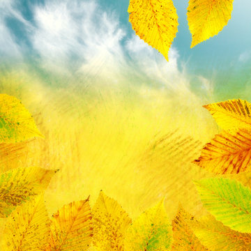 Autumn background