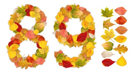 Numbers 8 and 9 made of autumn leaves