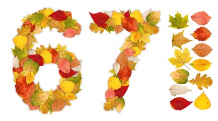 Numbers 6 and 7 made of autumn leaves