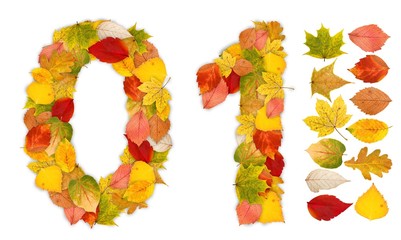 Numbers 0 and 1 made of autumn leaves