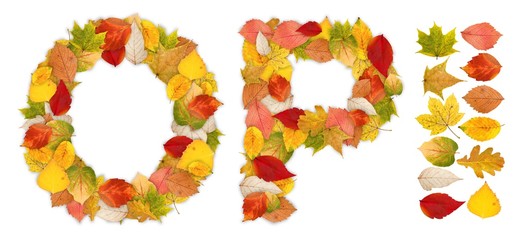 Characters O and P made of autumn leaves