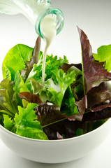 dressed salad
