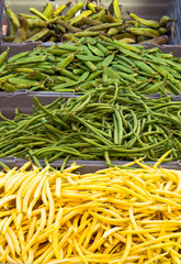 Harvested beans for sale at farmers market.
