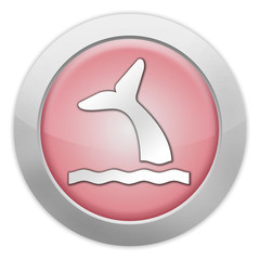 Light Colored Icon (Red) 