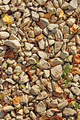 Stones and leafs.