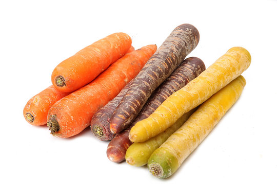 carotte couleur
