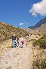Group of people walking in the nature