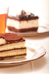 Portion of self-made tiramisu dessert