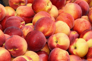 Nektarinen, Nectarines