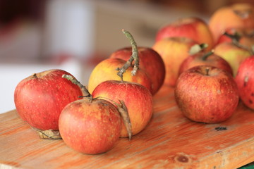 Äpfel im Herbst - Apples in fall