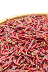 乾燥中の唐辛子