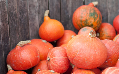 Autumn Pumpkins