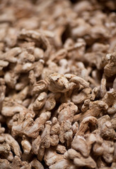 Ginger roots close-up background