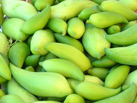 Healthy green achocha on background