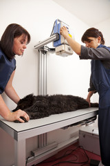 Fototapeta na wymiar beim Tierarzt - Hund auf Röntgentisch