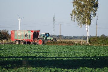 Fototapeta premium Energie
