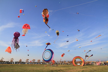 festival de l'air Frejus