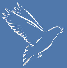 Taube mit Zweig im Schnabel