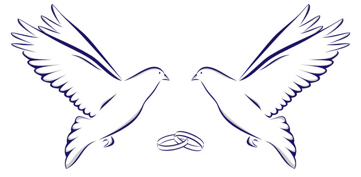 Zwei Tauben mit zwei Ringen Hochzeit Heiraten Feier