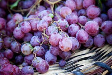 Grapes close up