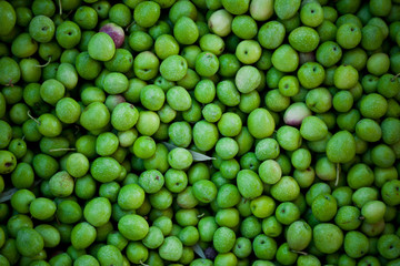 Green olives