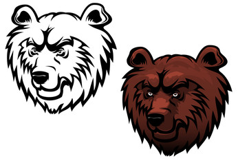 Wild kodiak bear
