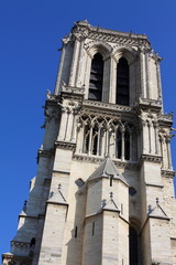 Fototapeta na wymiar Notre Dame Cathedral - Paryż