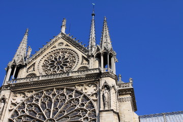 Notre Dame Cathedral - Paris
