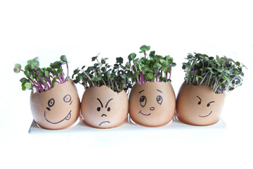 Cress Heads