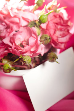 pink roses