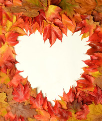 Naklejka na ściany i meble heart of the leaves