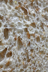 bread texture