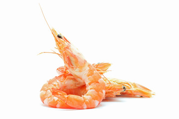 boiled Shrimp