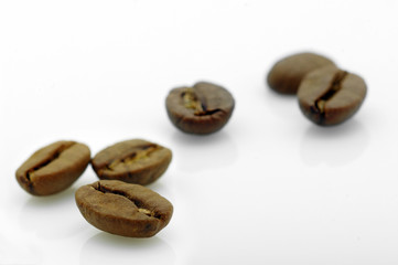 focus on a coffee bean in front of others on white background