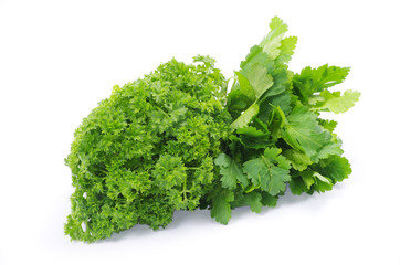 Obraz premium parsley