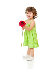 little girl with African daisy flower in studio isolated