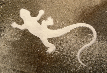 lizard silhouette on brown sand surface