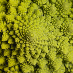abstract romanesco cauliflower